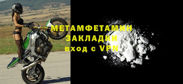 прущие грибы Богданович