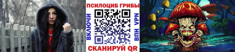 Псилоцибиновые грибы MAGIC MUSHROOMS  дарк нет телеграм  Ермолино  купить наркотики цена 